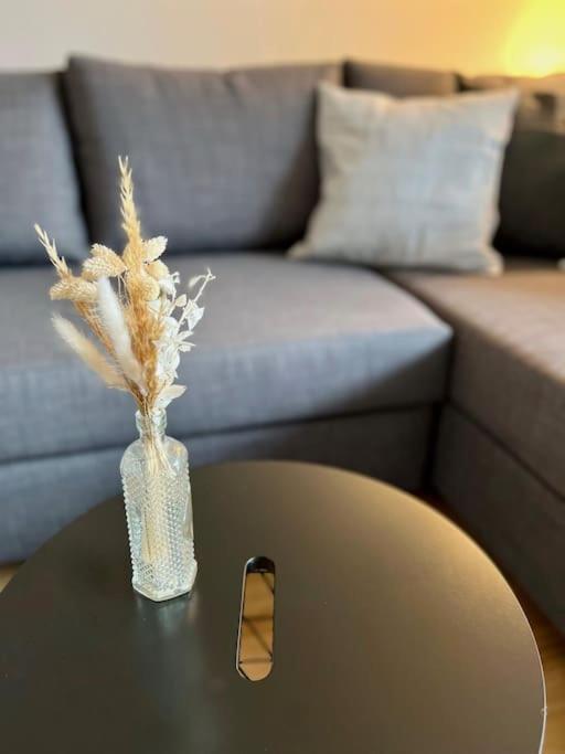 Wohnglueck Seifferer Apartment ราเวนส์บวร์ก ภายนอก รูปภาพ
